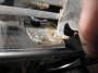carrozzeria_ed_esterni:24818_img_6549.jpg
