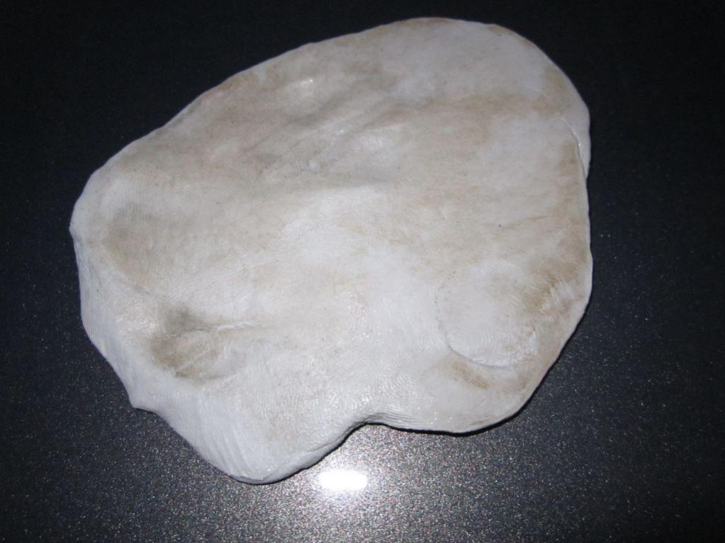 9832_014clay.jpg