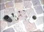 manutenzione_di_base:2356_draincleaningmx5-30.jpg