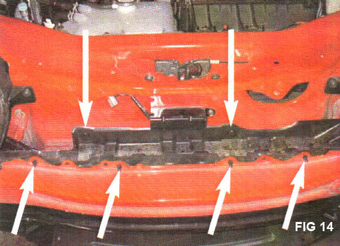 231_cobalt14.jpg